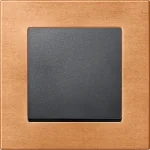Schneider Merten - Beech